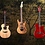 guitardaddy1962 guitardaddy1962