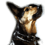 kurtB