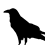 MrCat2000