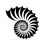 Nautilus